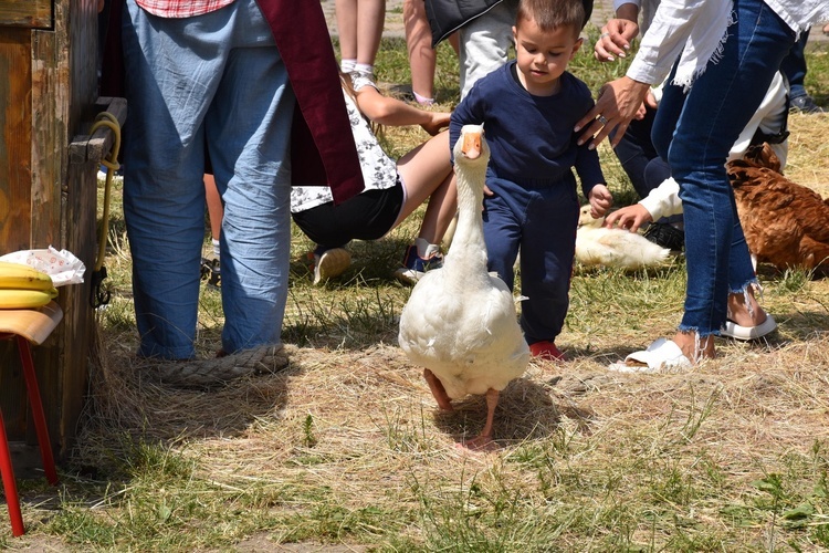 Zagroda Powroty na Rodzinnym Pikniku Misyjnym