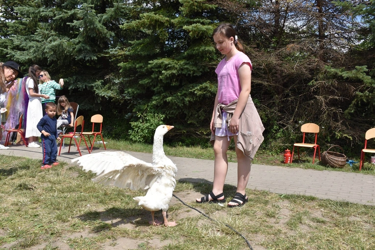 Zagroda Powroty na Rodzinnym Pikniku Misyjnym