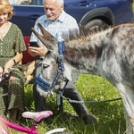 Pielgrzymka ze Świdnicy do Śmiałowic