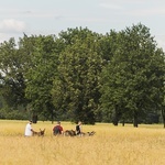 Pielgrzymka ze Świdnicy do Śmiałowic