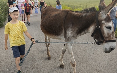 Szlakiem Pani w słońcu