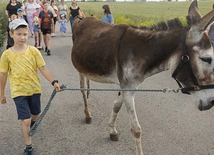 Szlakiem Pani w słońcu
