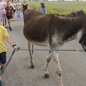 Szlakiem Pani w słońcu