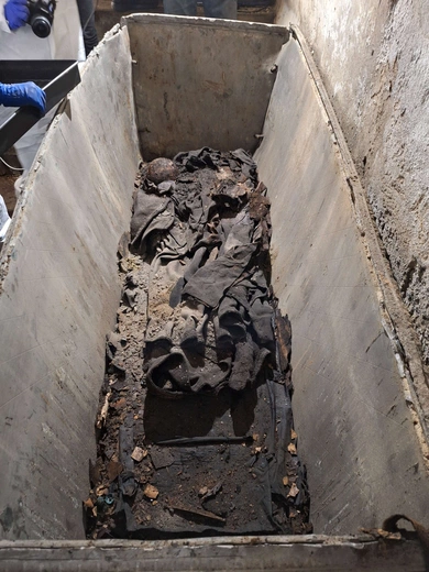 Prace w krypcie Ostrogskich