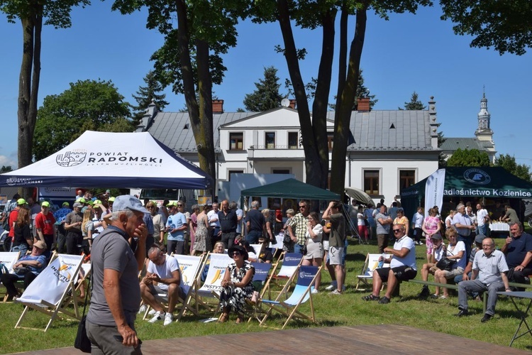 Festyn w ogrodach plebańskich.