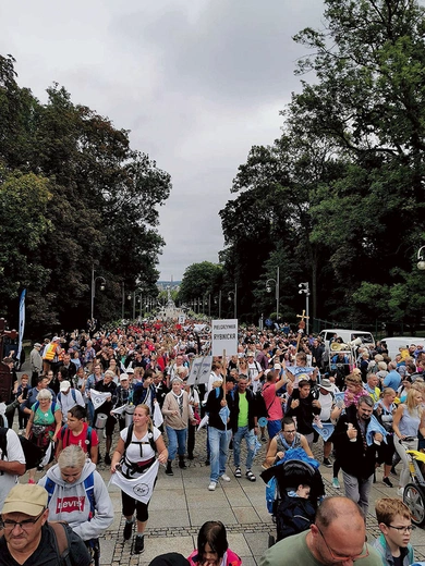 To wydarzenie dla każdego, kto czuje się na siłach, by wędrować. 