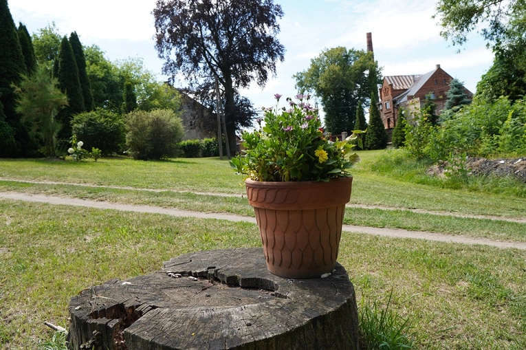 W Domu Magnificat w Ligocie Polskiej