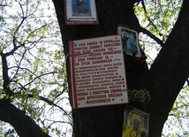 Miejsce objawień świętej siostry Faustyny