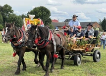 VII Zlot Furmanek
