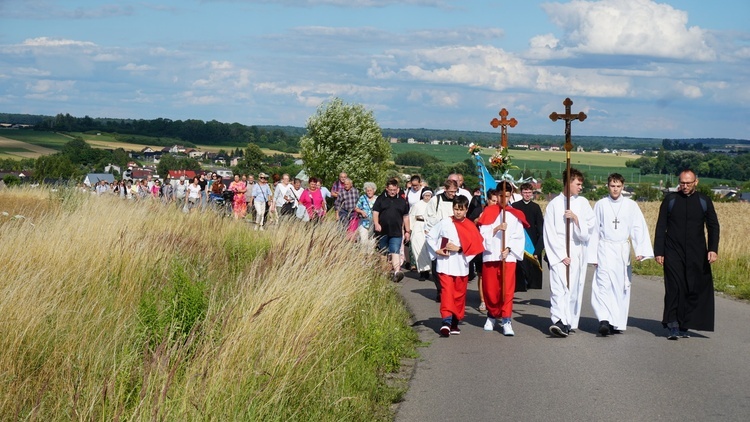 Ślubowana pielgrzymka do sanktuarium Matki Boskiej Lubeckiej