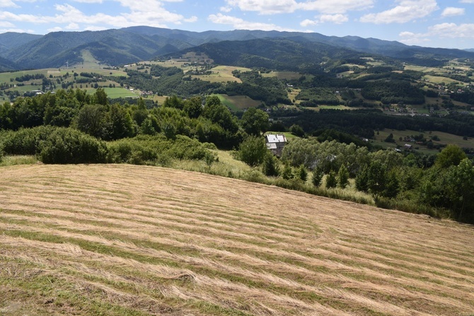 Co widać ze Ślimaka w Woli Kroguleckiej?