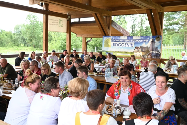 VI Watra Rogoźnicka