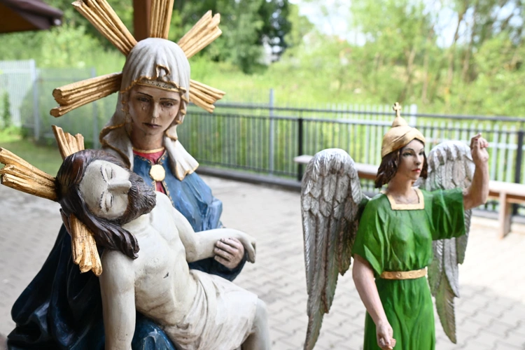 VI Watra Rogoźnicka