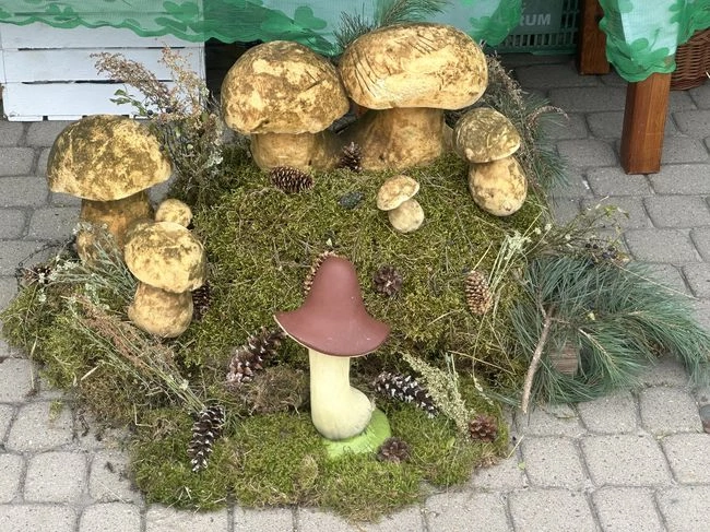 Stalowa Wola. Pierogi z rzemiosłem