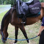 Wojewódzkie obchody Święta Policji w Strzelcach Opolskich