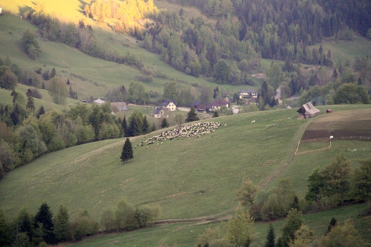 Gorc i Gorce