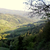 Gorc i Gorce