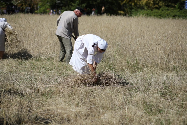 Łowickie Żniwa 2024
