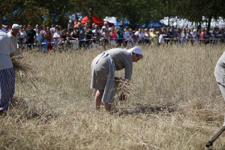 Łowickie Żniwa 2024