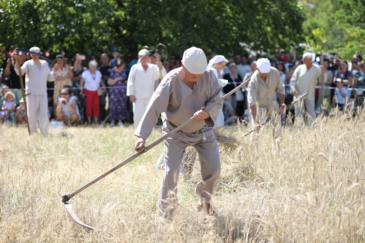Łowickie Żniwa 2024