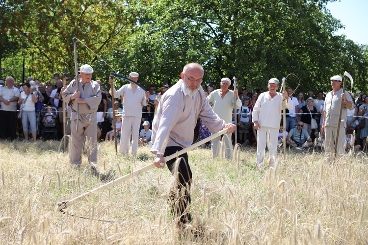 Łowickie Żniwa 2024