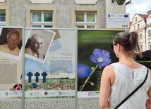 Ekspozycja, mimo skromności, porusza opisami i zdjęciami wydarzeń z Wołynia.