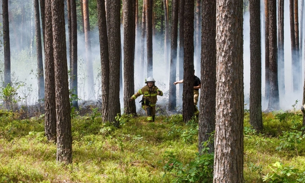 Śląskie. Nagroda za wskazanie podpalacza w Żarkach