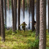 Śląskie. Nagroda za wskazanie podpalacza w Żarkach