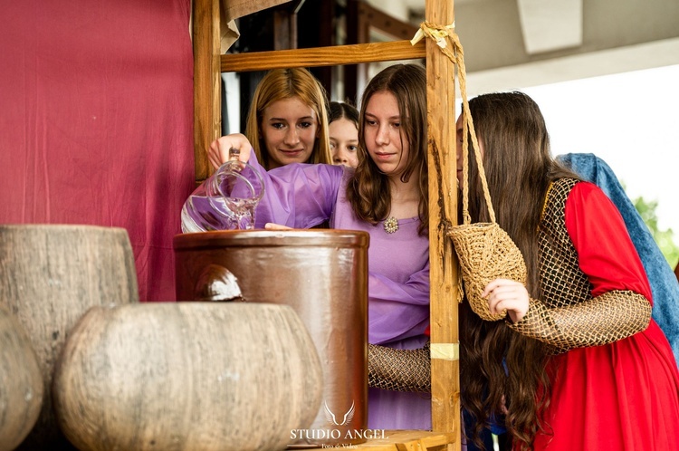 Skrzydlna. Misterium tajemnic światła