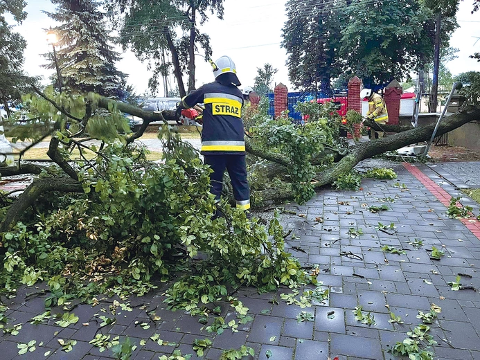 W parafii w Głuchowie strażacy usunęli powalone drzewo. Świątynia nie ucierpiała podczas nawałnicy.