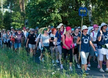Tegorocznej wędrówce towarzyszy hasło: „Budujemy wspólnotę Kościoła”.