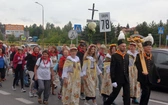 79. Rybnicka pielgrzymka. U progu Jasnej Góry