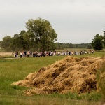 W połowie drogi na Jasną