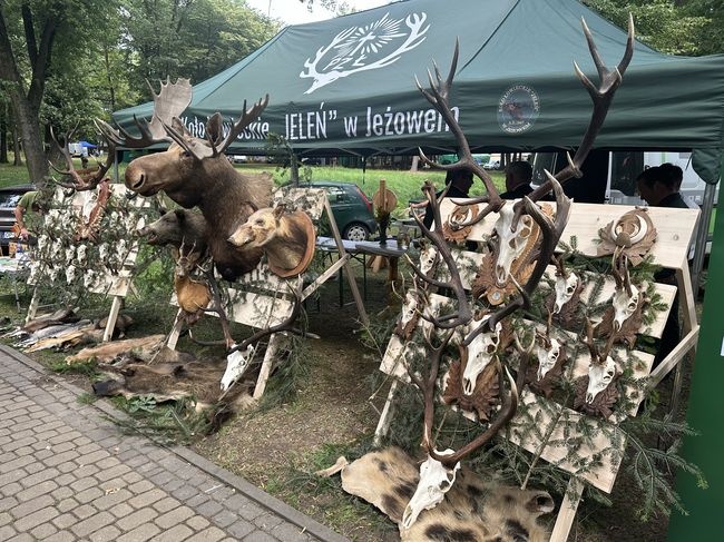 Nisko. Festiwal Kultury Łowieckiej