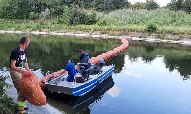 Śląskie. Prawie 10 ton śniętych ryb w jeziorze Dzierżno Duże