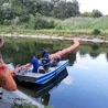Śląskie. Prawie 10 ton śniętych ryb w jeziorze Dzierżno Duże