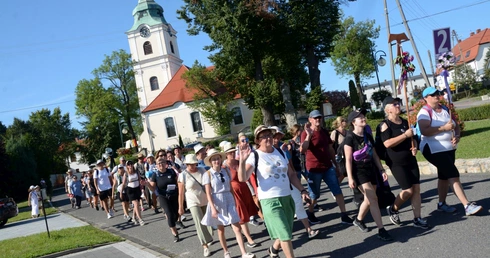 Strumień opolski w Kamieniu Śląskim