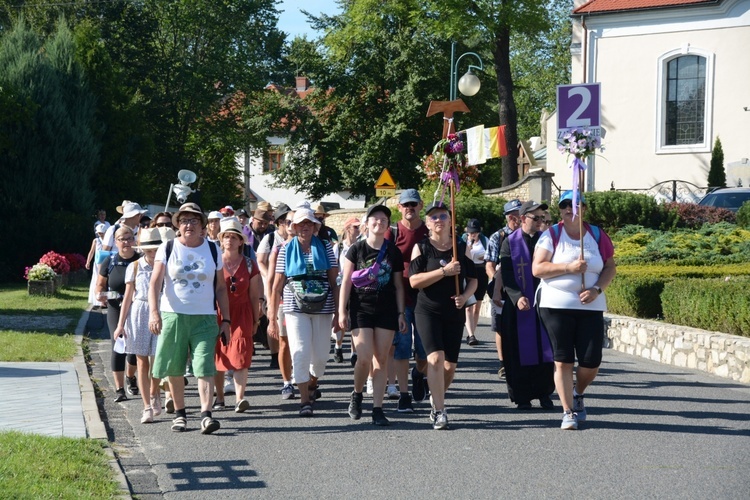 Strumień opolski w Kamieniu Śląskim