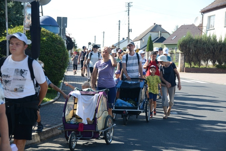 Strumień opolski w Kamieniu Śląskim