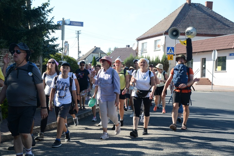 Strumień opolski w Kamieniu Śląskim