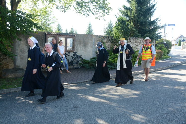 Strumień opolski w Kamieniu Śląskim