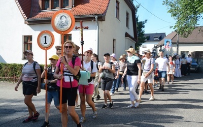 Jedynka pomarańczowa nową grupą w strumieniu opolskim