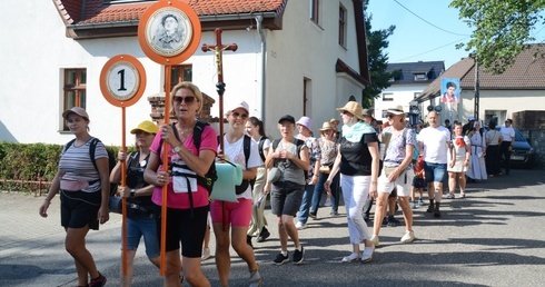 Jedynka pomarańczowa nową grupą w strumieniu opolskim