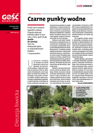 Gość Łowicki 33/2024