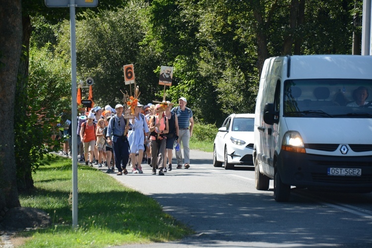 Strumień raciborski w Centawie