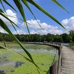 Stradomia Dolna. Odpoczynek w arboretum leśnym