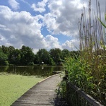 Stradomia Dolna. Odpoczynek w arboretum leśnym