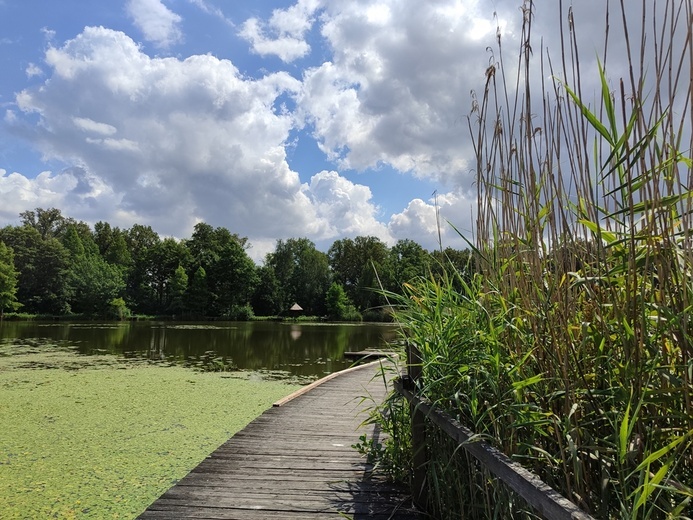 Stradomia Dolna. Odpoczynek w arboretum leśnym