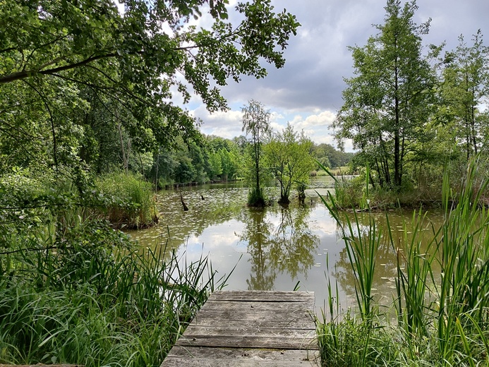 Stradomia Dolna. Odpoczynek w arboretum leśnym