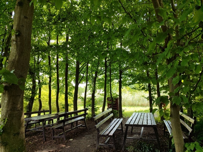 Stradomia Dolna. Odpoczynek w arboretum leśnym